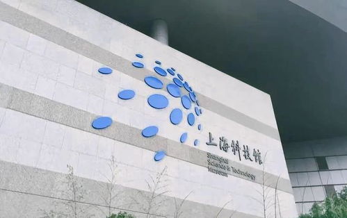 悲剧背后的警钟 上海科技馆母女坠楼事件引发的安全反思